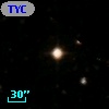 TYC  966-894-1