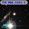 TYC  966-1181-1