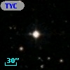 TYC  966-1771-1