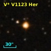 V* V1123 Her