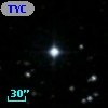 TYC  975-600-1