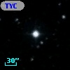 TYC  976-2031-1