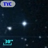 TYC  979-607-1