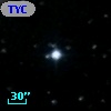 TYC  979-982-1