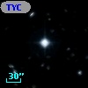 TYC  980-1092-1