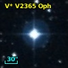 V* V2365 Oph