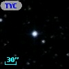 TYC  977-611-1