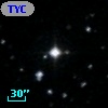 TYC  977-618-1