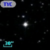 TYC  977-784-1