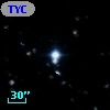 TYC  977-786-1