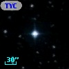 TYC  977-815-1