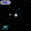 TYC  977-1037-1