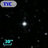 TYC  977-1228-1
