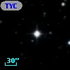 TYC  980-828-1