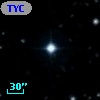 TYC  980-980-1