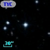 TYC  981-147-1