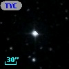 TYC  981-193-1