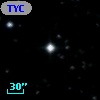 TYC  981-343-1