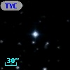 TYC  981-386-1