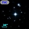 TYC  981-475-1