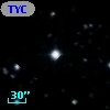 TYC  981-517-1