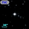 TYC  981-704-1