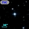 TYC  981-916-1