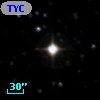 TYC  981-958-1