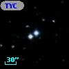 TYC  981-1009-1