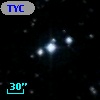 TYC  981-1162-1