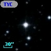 TYC  981-1286-1