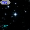TYC  981-1311-1