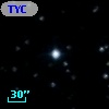 TYC  981-1371-1