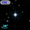 TYC  981-1544-1