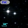 TYC  981-1625-1