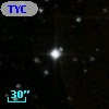 TYC  981-1630-1