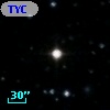 TYC  981-1648-1