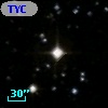 TYC  981-1654-1