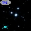 TYC  981-1690-1