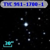 TYC  981-1700-1