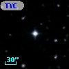 TYC  981-1721-1