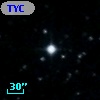 TYC  981-1807-1