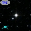 TYC  978-193-1