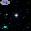 TYC  978-341-1