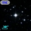 TYC  978-446-1