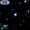 TYC  978-481-1