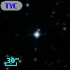 TYC  982-253-1