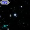 TYC  982-834-1