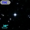 TYC  982-1365-1