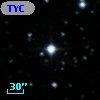 TYC  982-1442-1